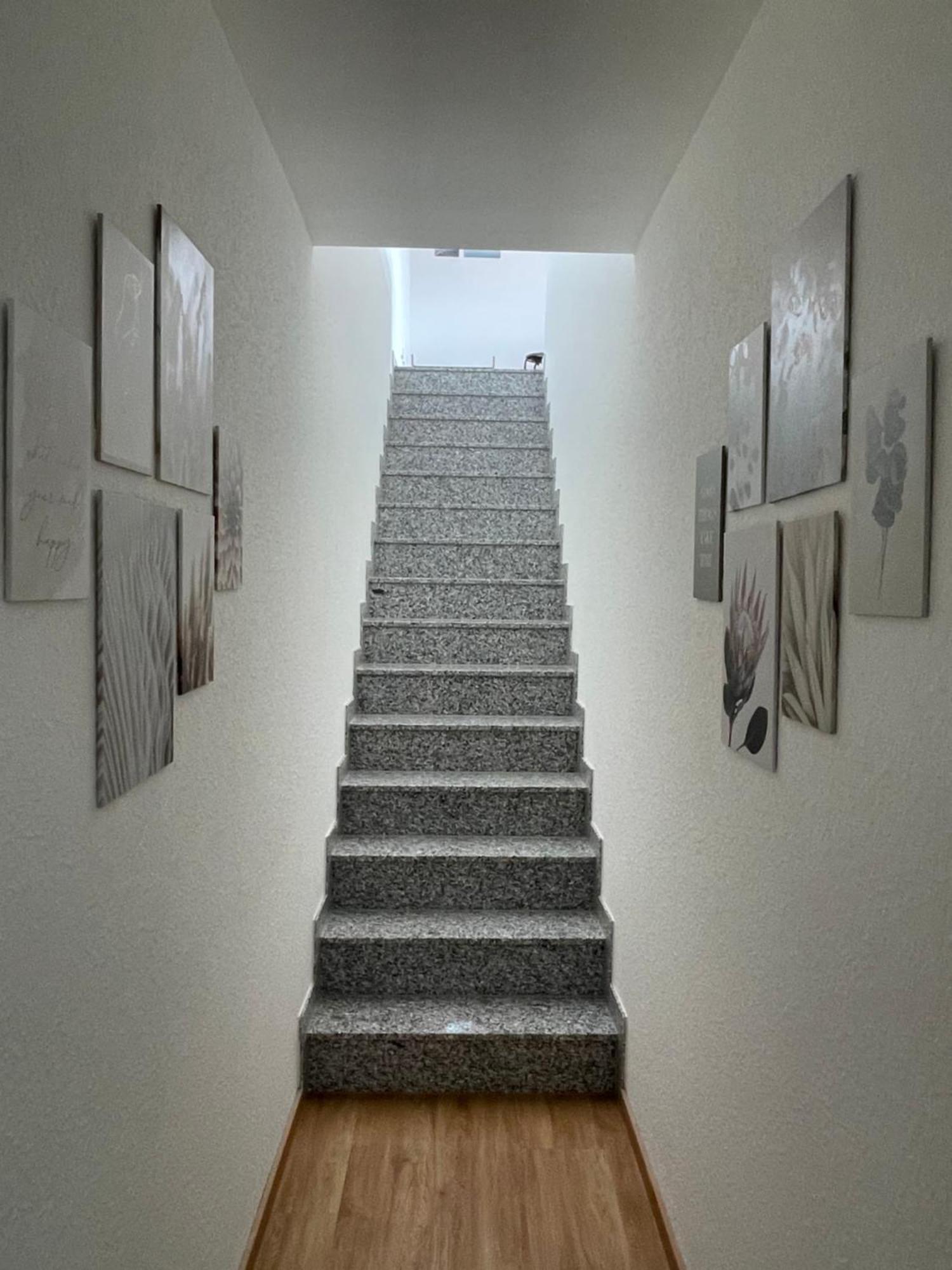 Mamam'S Apartment Kappel-Grafenhausen Exteriér fotografie